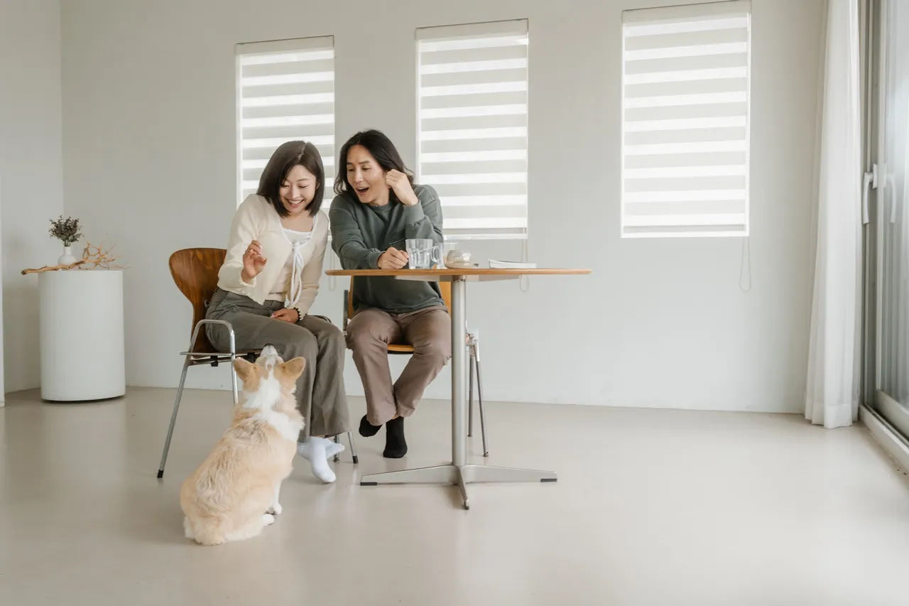 高雄系統櫃廠商推薦,系統櫃訂製含安裝報價