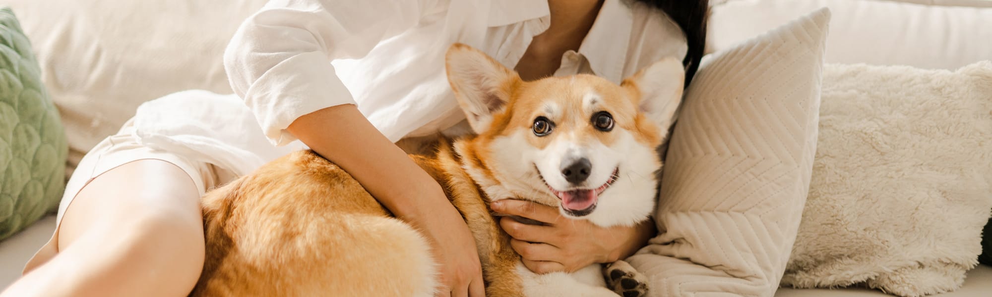 島間漫行｜高屏消費指南，向理想生活提案！